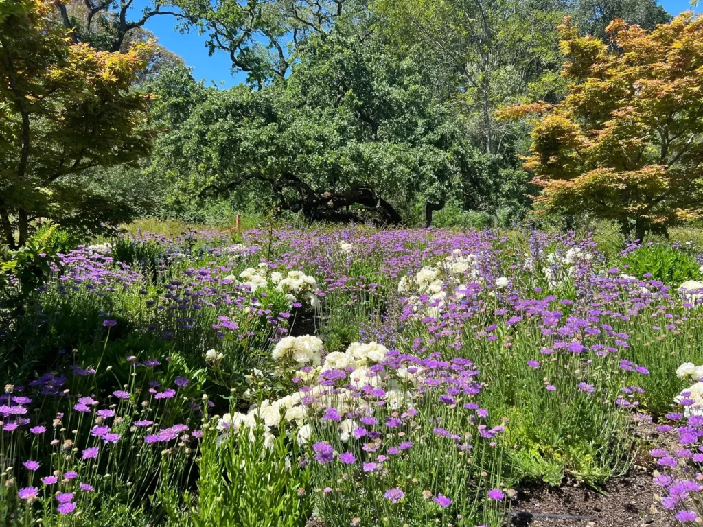 Natural Gardens Consulting