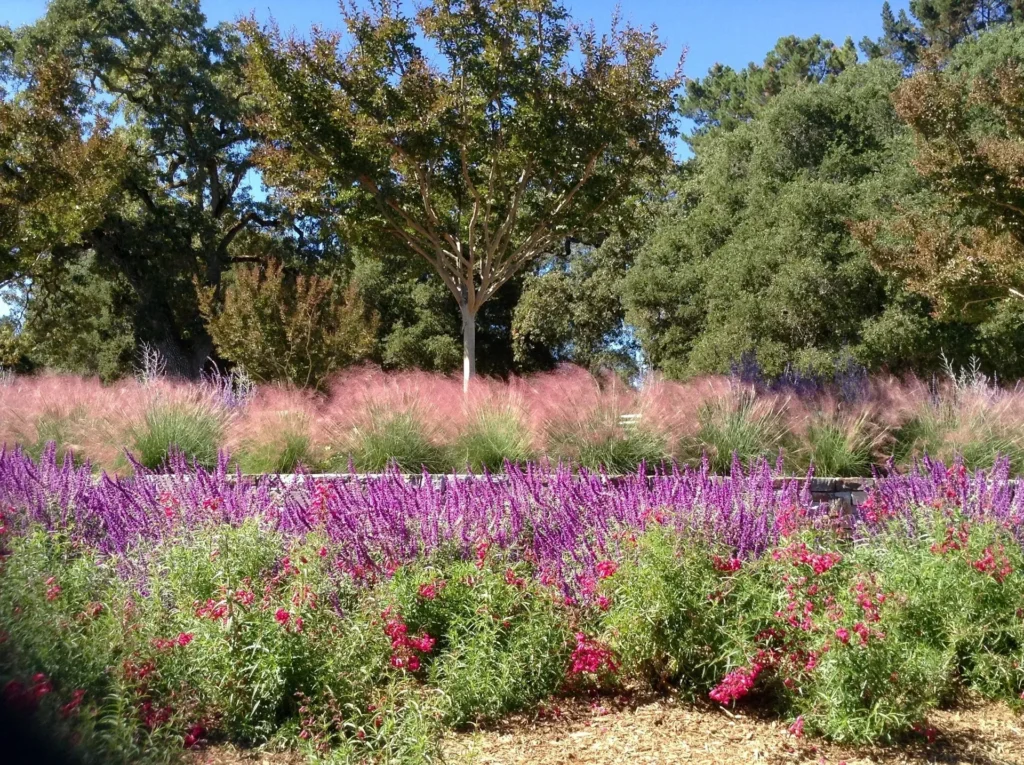 Natural Gardens Consulting