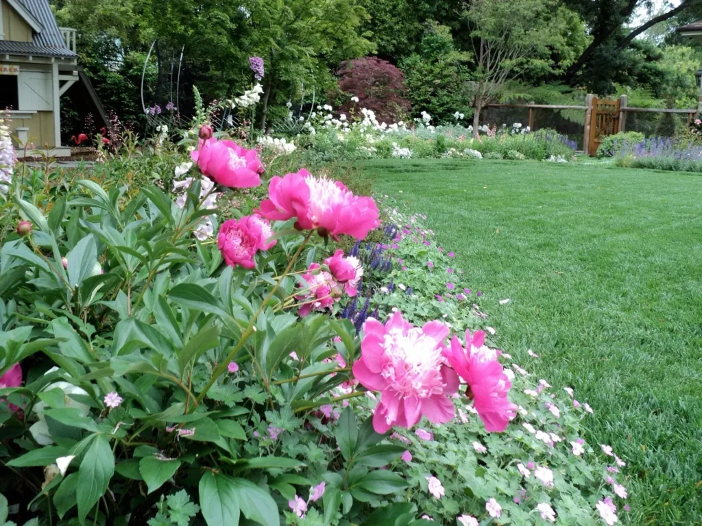 Natural Gardens Consulting