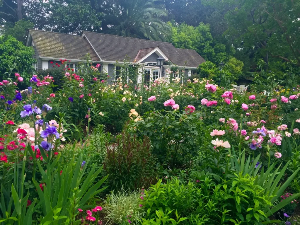 Natural Gardens Consulting