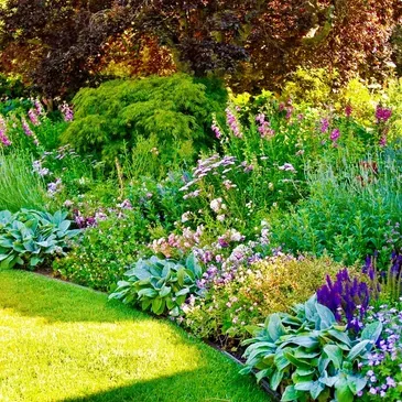 Natural Gardens Consulting