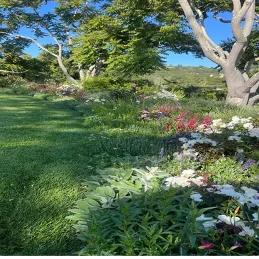 Natural Gardens Consulting