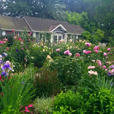 Natural Gardens Consulting