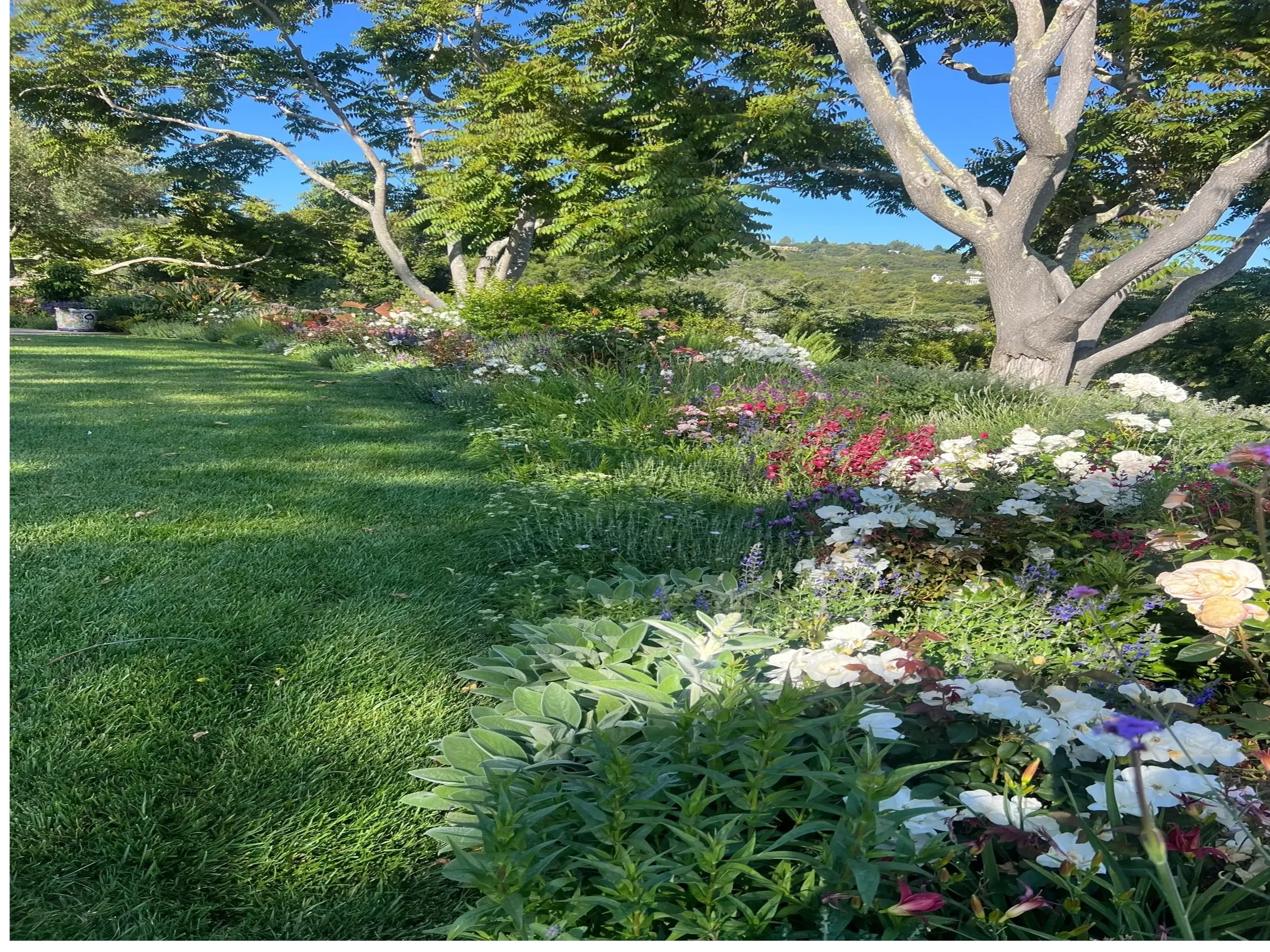 Natural Gardens Consulting