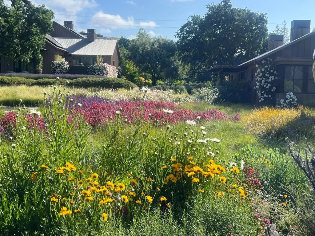 Natural Gardens Consulting