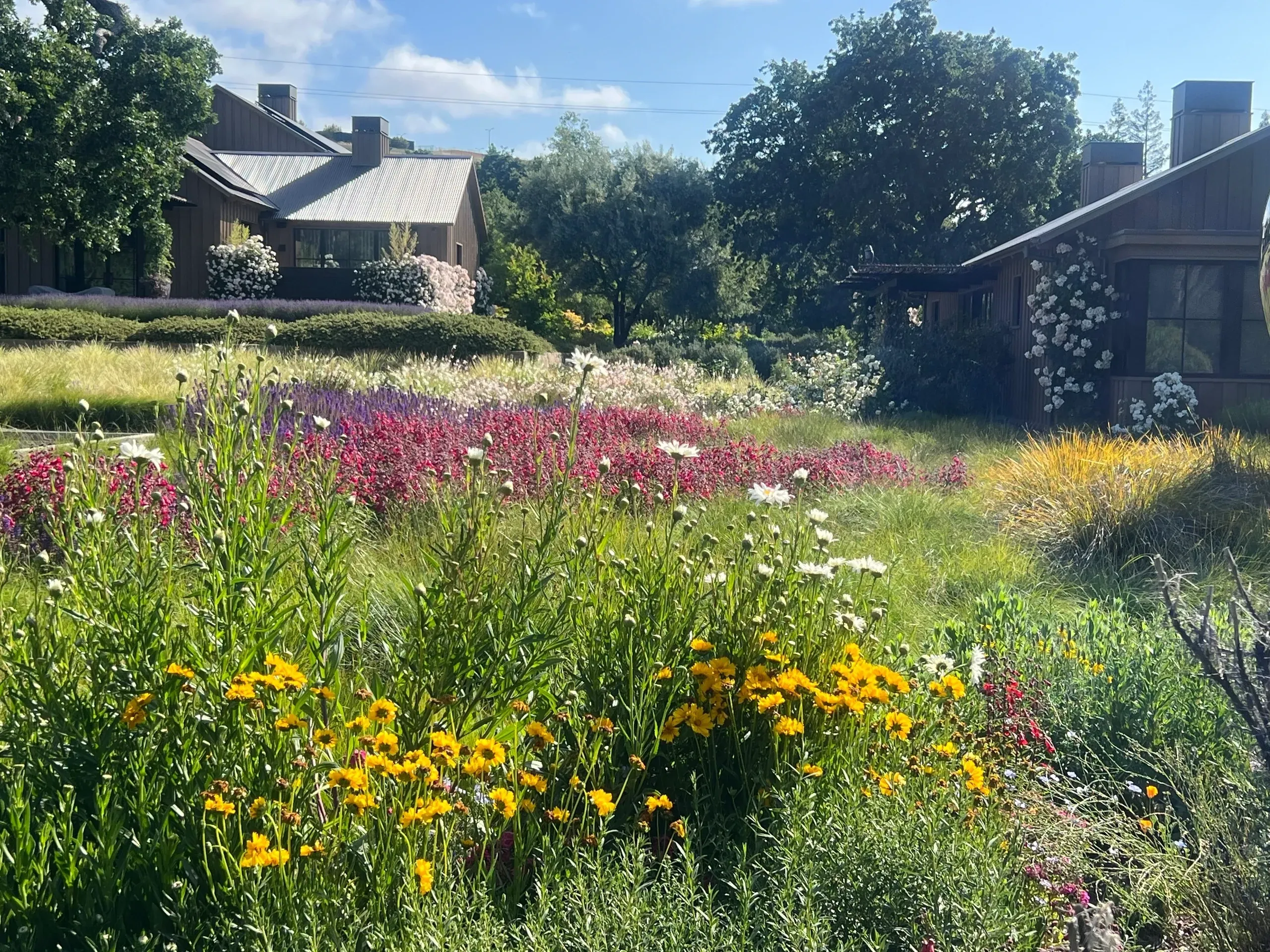 Natural Gardens Consulting