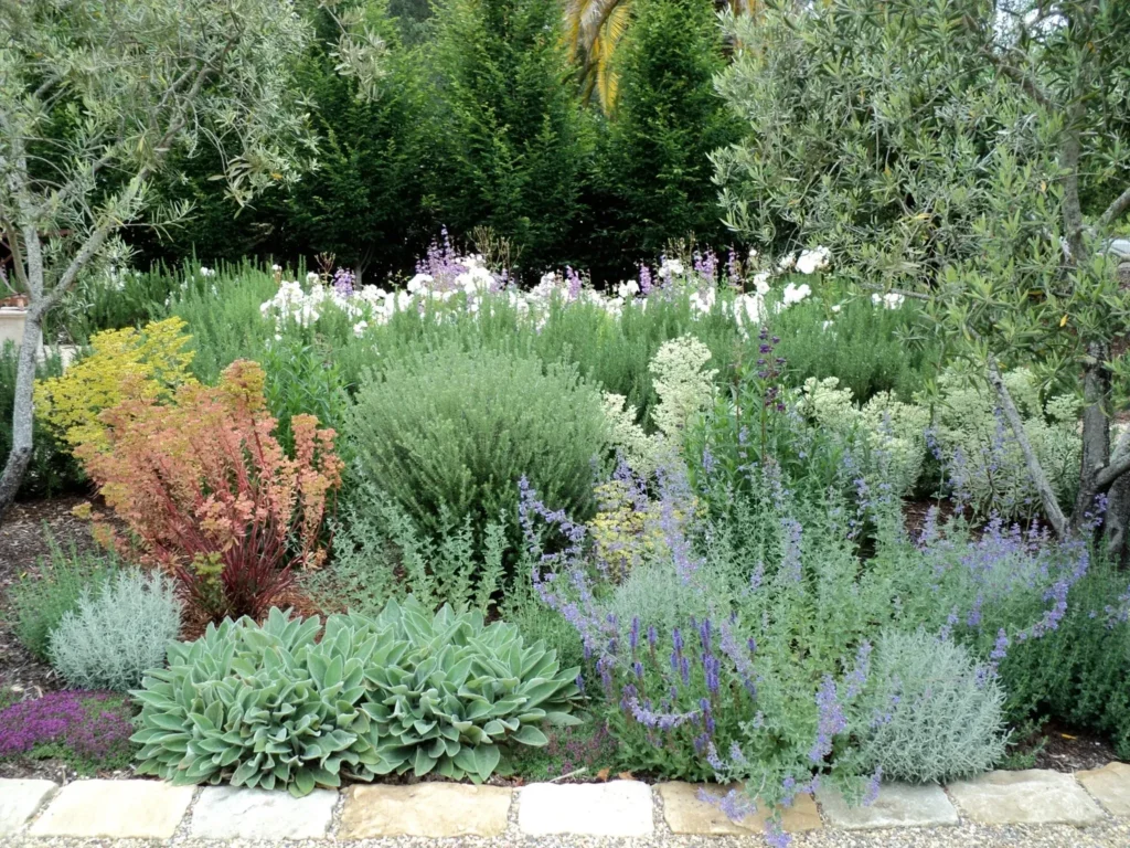 Natural Gardens Consulting