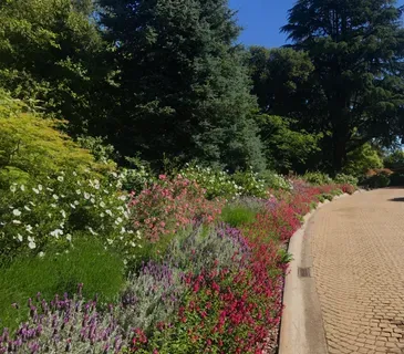 Natural Gardens Consulting