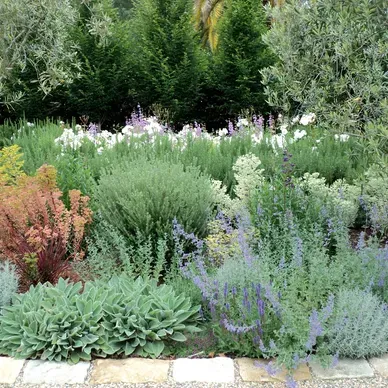 Natural Gardens Consulting