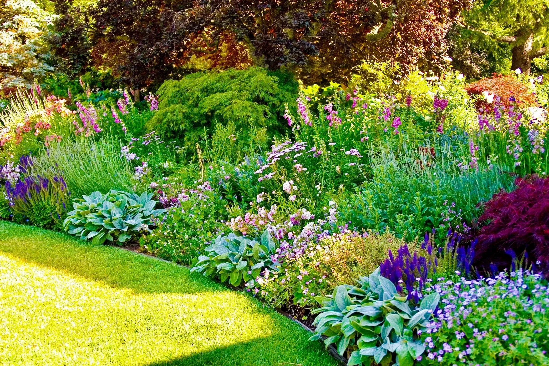 Natural Gardens Consulting