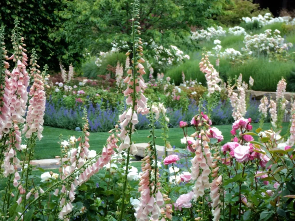 Transform Your Garden Design